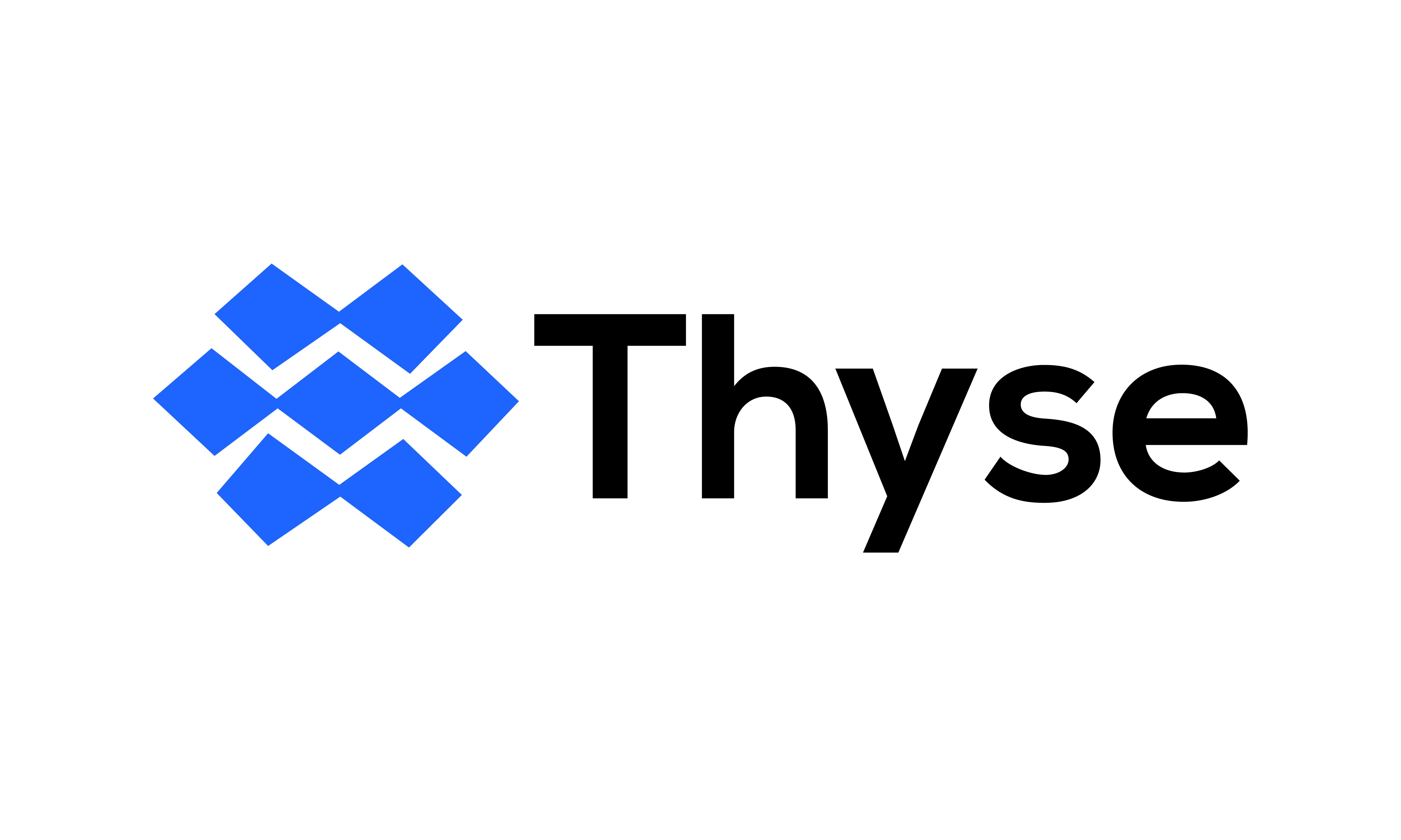 Thyse logo